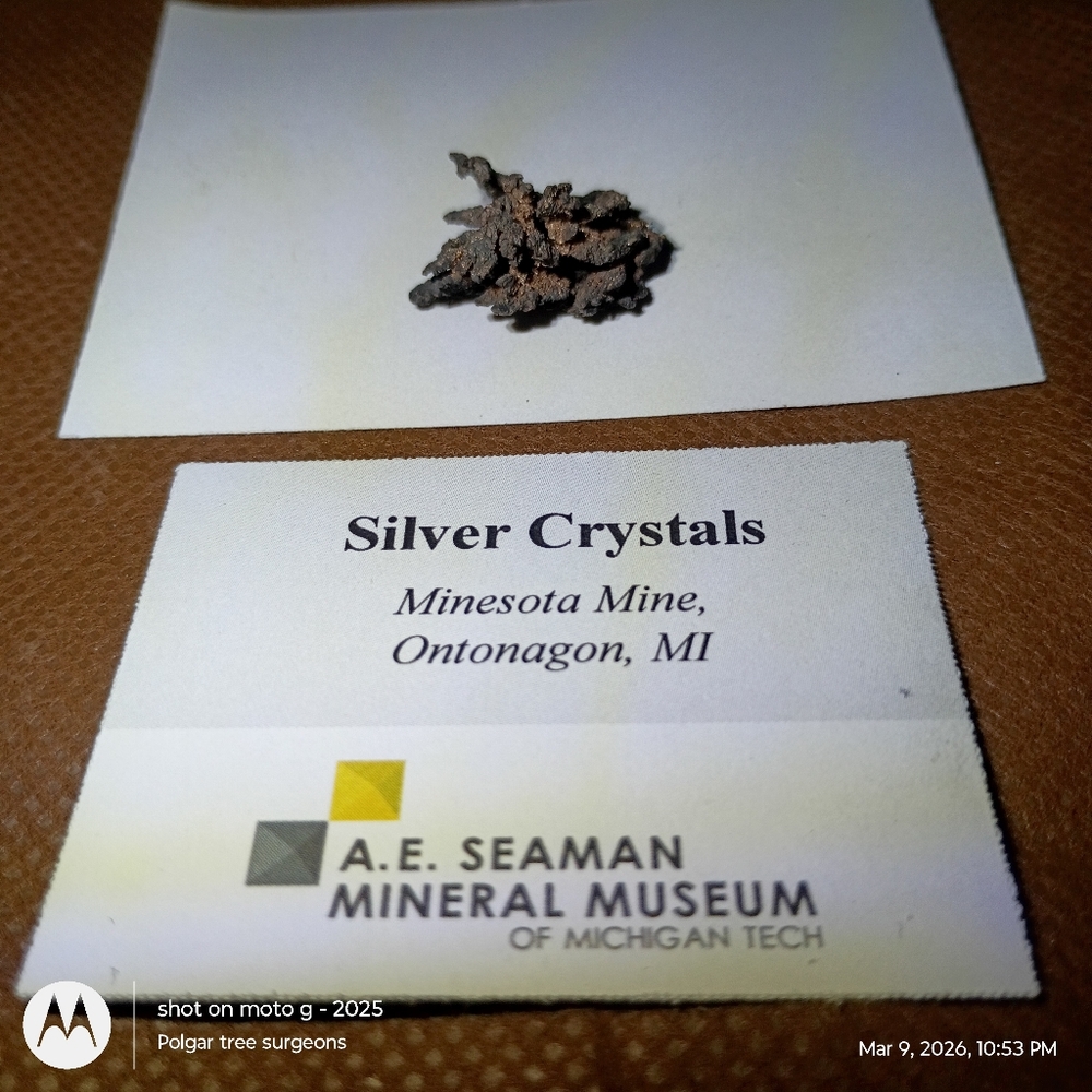 Silver and Copper Mineral Specimen Collectors Collection